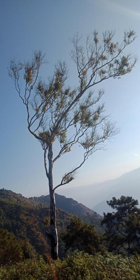 Ferienwohnung Ale Chojeke Kalimpong Exterior foto